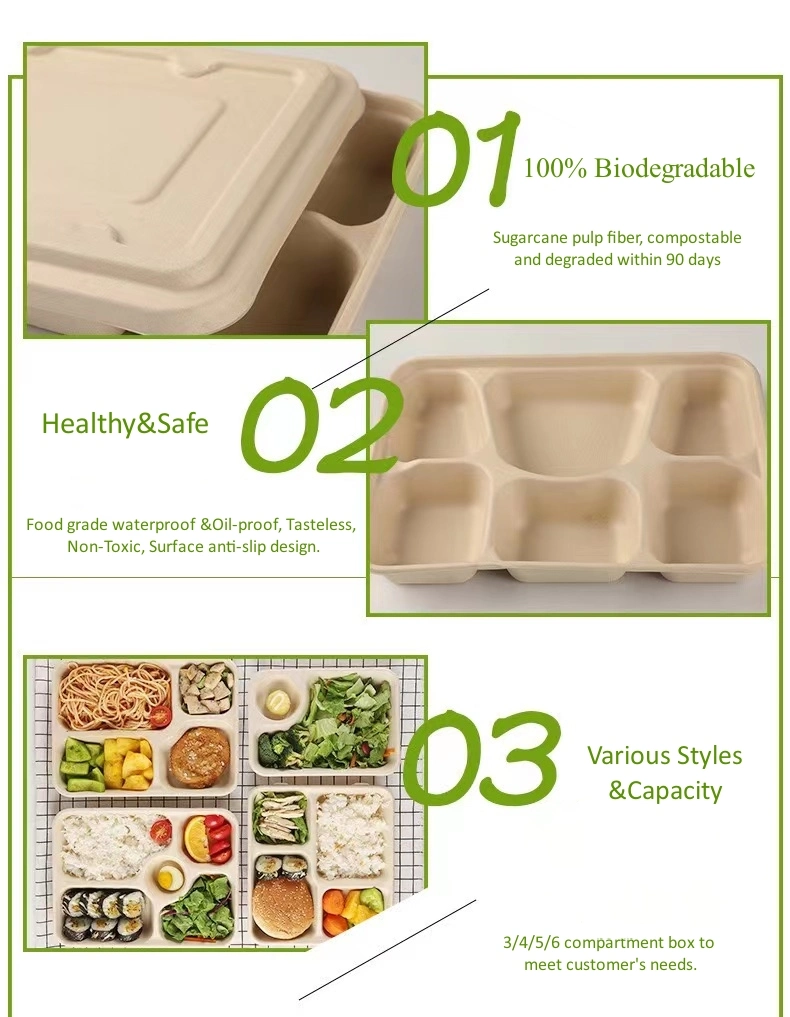 Disposable Biodegradable 4 Compartment Sugarcane Bagasse Tray Square Containers Fast Food Lunch Box Packaging